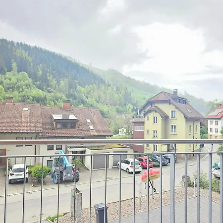 Black Forest I Sauna Auf Dem Balkon I Boxspring I Nespresso I Ausblick I Wasserfaelle Im Ort Todtnau Exterior foto