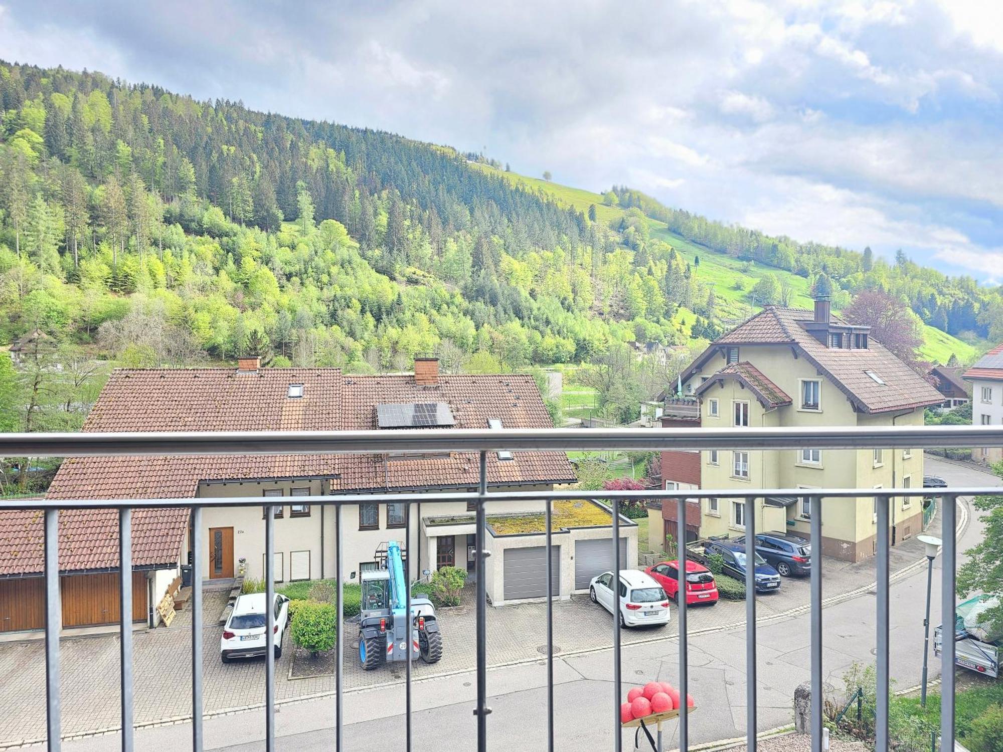 Apartment Black Forest I Sauna Auf Dem Balkon I Boxspring I Nespresso I Ausblick I Wasserfaelle Im Ort Todtnau
